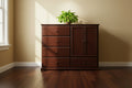 Chest with 5 Drawers and Closet